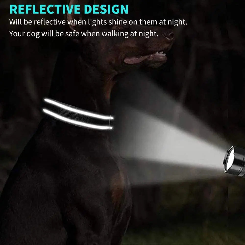 Custom Reflective Dog Collars with Embroidered Name and Phone Number for Small Medium Large Dogs DayDay Patch