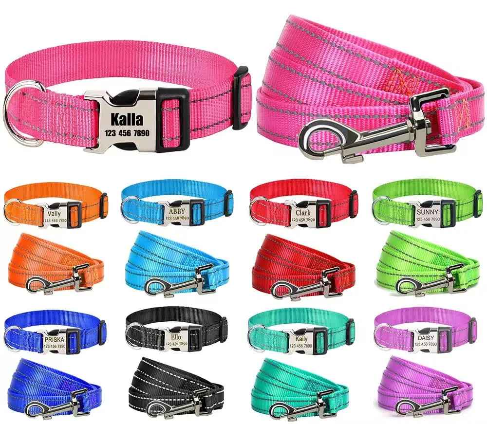 MOONPET Personalized Custom Dog Collar Leash Set for Dogs MOONPET