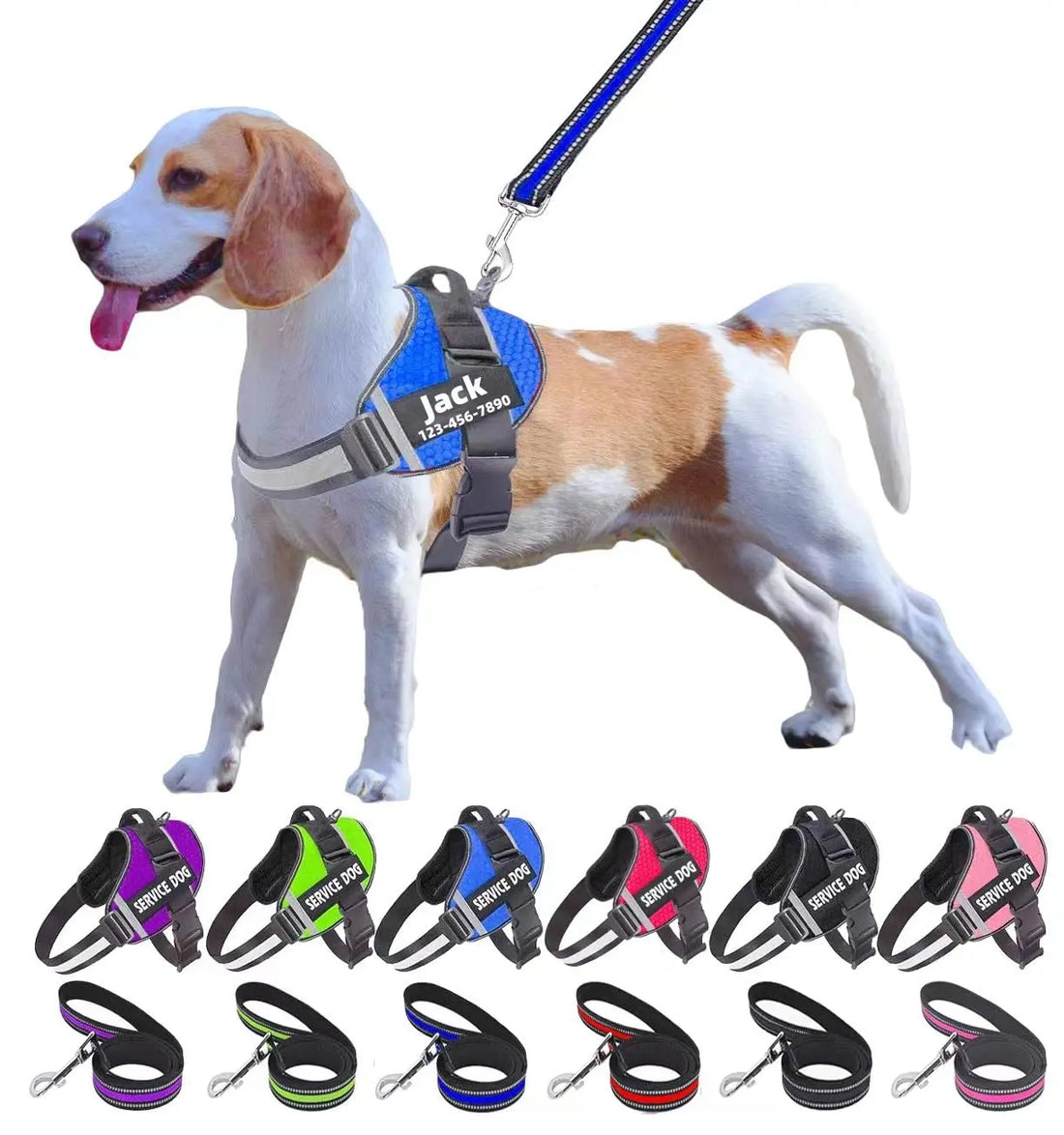Moonpet Personalized No Pull Dog Harness Leash Set MOONPET