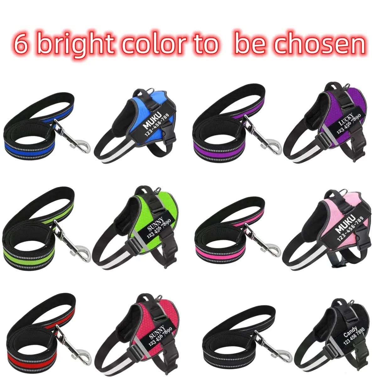 Moonpet Personalized No Pull Dog Harness Leash Set MOONPET