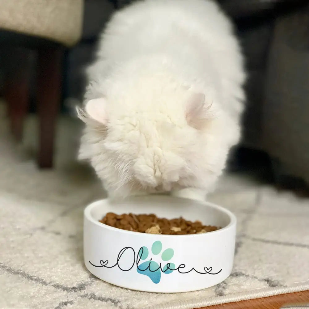 Personalized Ceramic Pet Bowls - Custom Name Dog, Cat & Rabbit Bowls w/Super Cute Icon, Customized Pet Dish for Water, Dry & Wet Food, Pet Owner, Available in Small & Large Sizes AlpadilAndCo