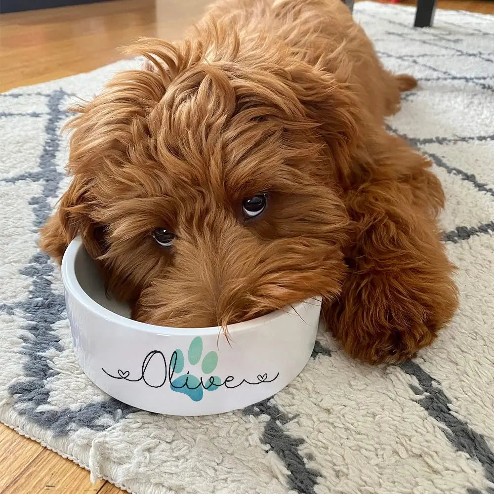 Personalized Ceramic Pet Bowls - Custom Name Dog, Cat & Rabbit Bowls w/Super Cute Icon, Customized Pet Dish for Water, Dry & Wet Food, Pet Owner, Available in Small & Large Sizes AlpadilAndCo