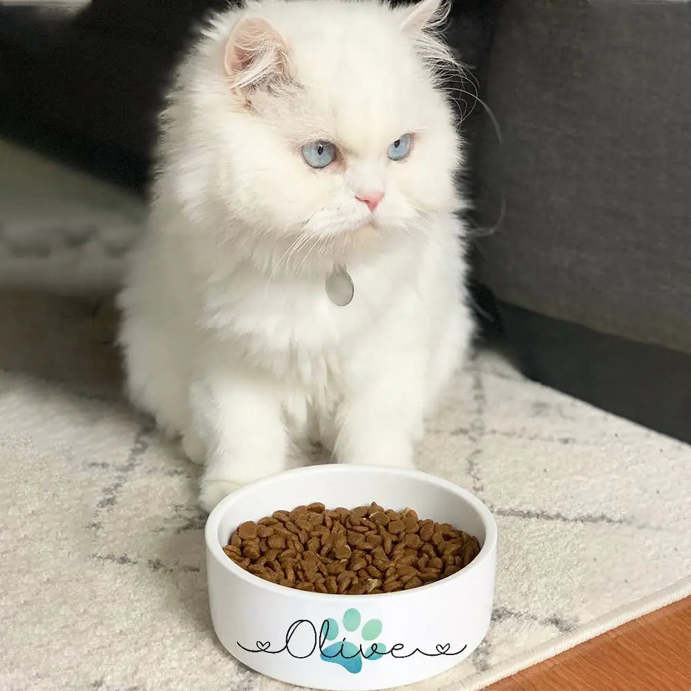 Personalized Ceramic Pet Bowls - Custom Name Dog, Cat & Rabbit Bowls w/Super Cute Icon, Customized Pet Dish for Water, Dry & Wet Food, Pet Owner, Available in Small & Large Sizes AlpadilAndCo