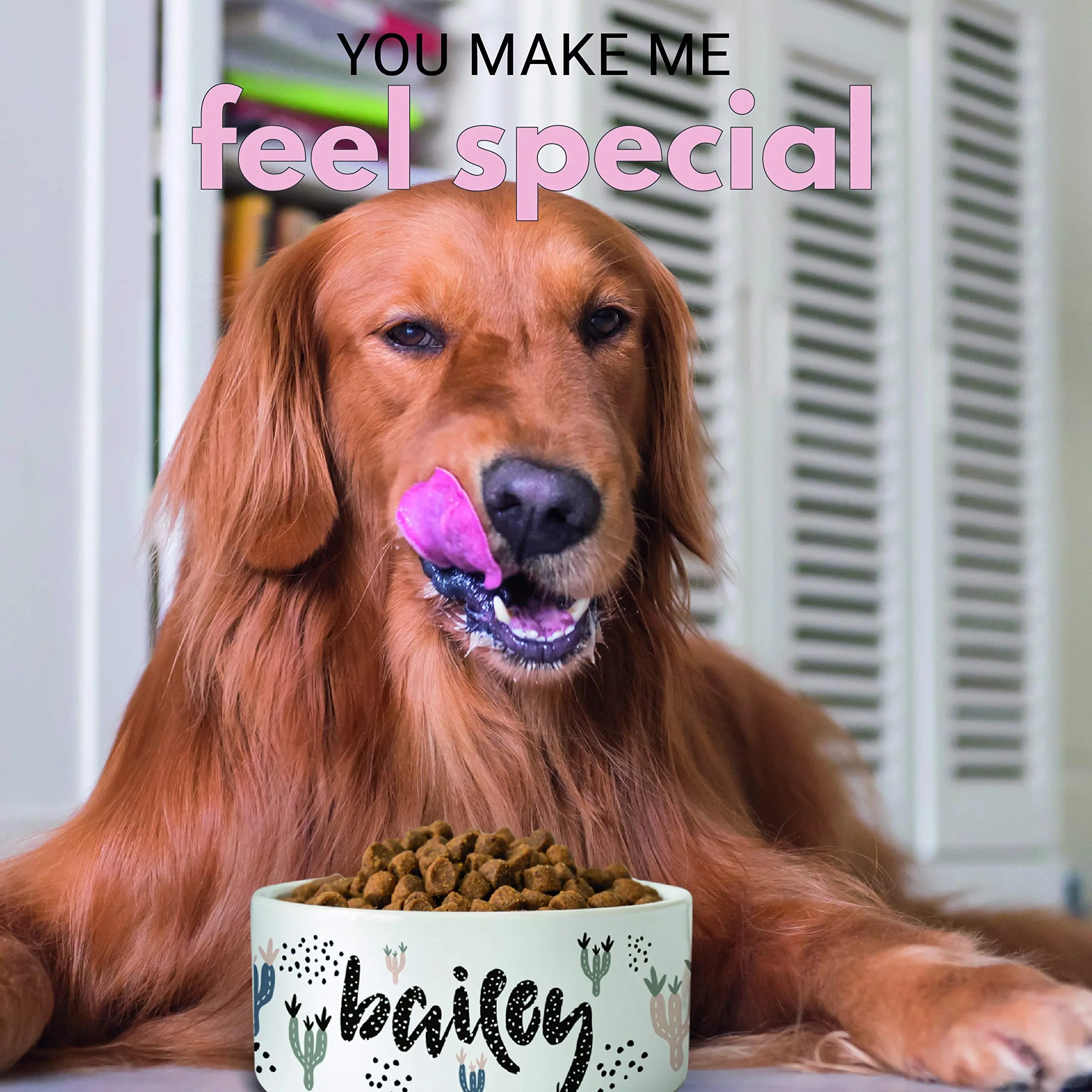 Personalized Ceramic Pet Bowls | Customizable 14 Designs w Your Pet’s Name | 6 inches - Custom Pet Bowls for Dog, Cat, Puppy or Kitten - Dish for Dry, Wet Food or Water - Pet Owner Gifts Personalized Favors