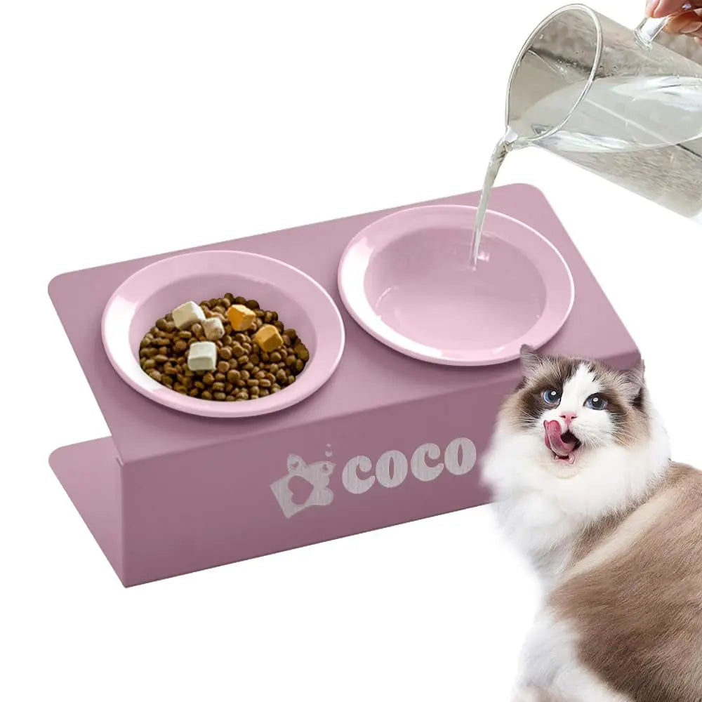 Personalized Elevated Cat Bowls 15° Tilted Raised Pet Dishes for Food and Water,Metal Body Stand Feeder with Laser Customization, 2 Ceramic Dish for Cats, Small Dogs AnNengJing