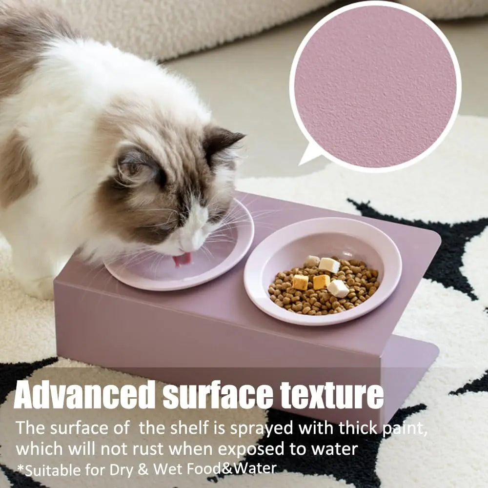 Personalized Elevated Cat Bowls 15° Tilted Raised Pet Dishes for Food and Water,Metal Body Stand Feeder with Laser Customization, 2 Ceramic Dish for Cats, Small Dogs AnNengJing