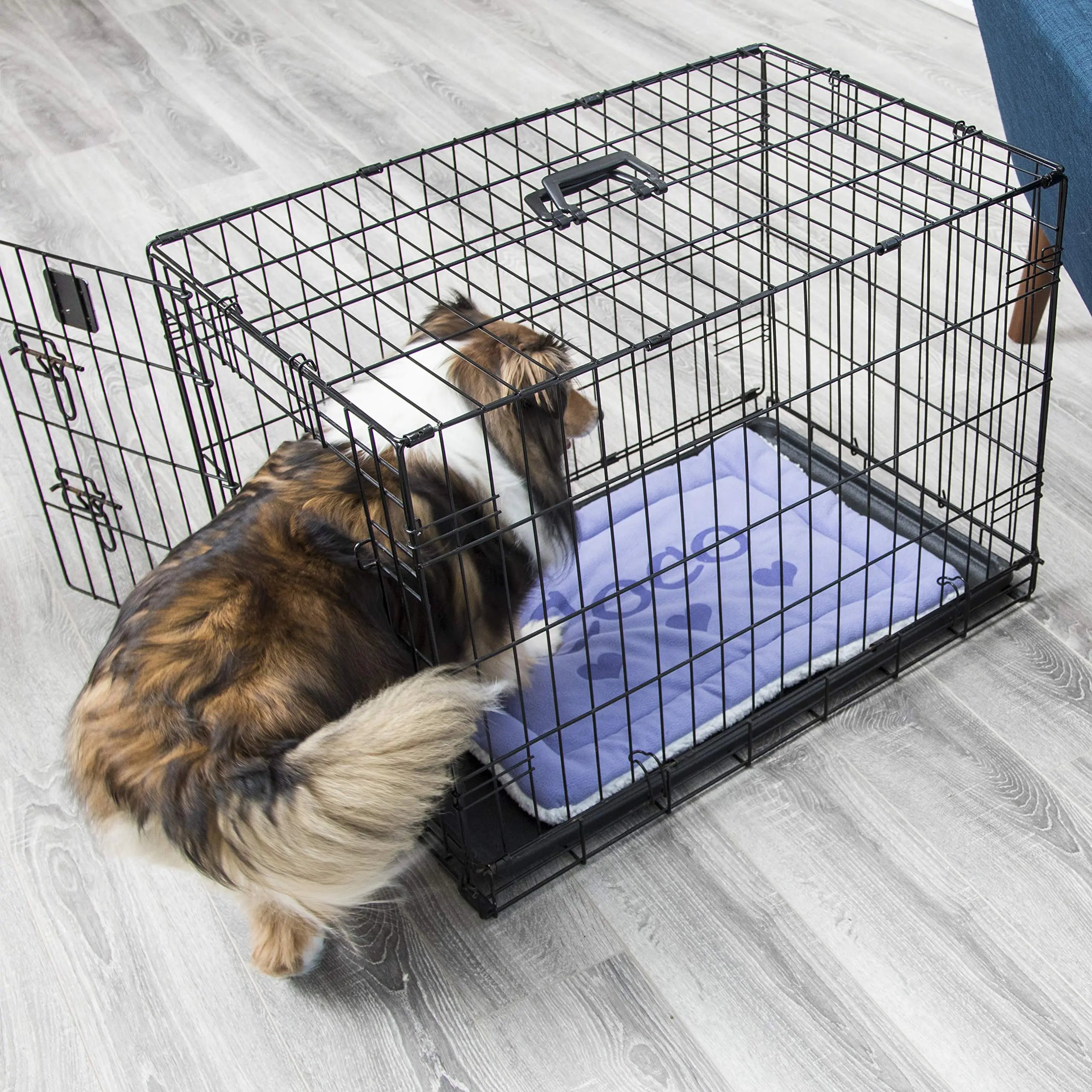 Personalized Pet Comfort Mat - Customizable Dog Bed Cushion for Crates, Carriers, and Kennels - Small Size - Available in Multiple Colors Custom Catch
