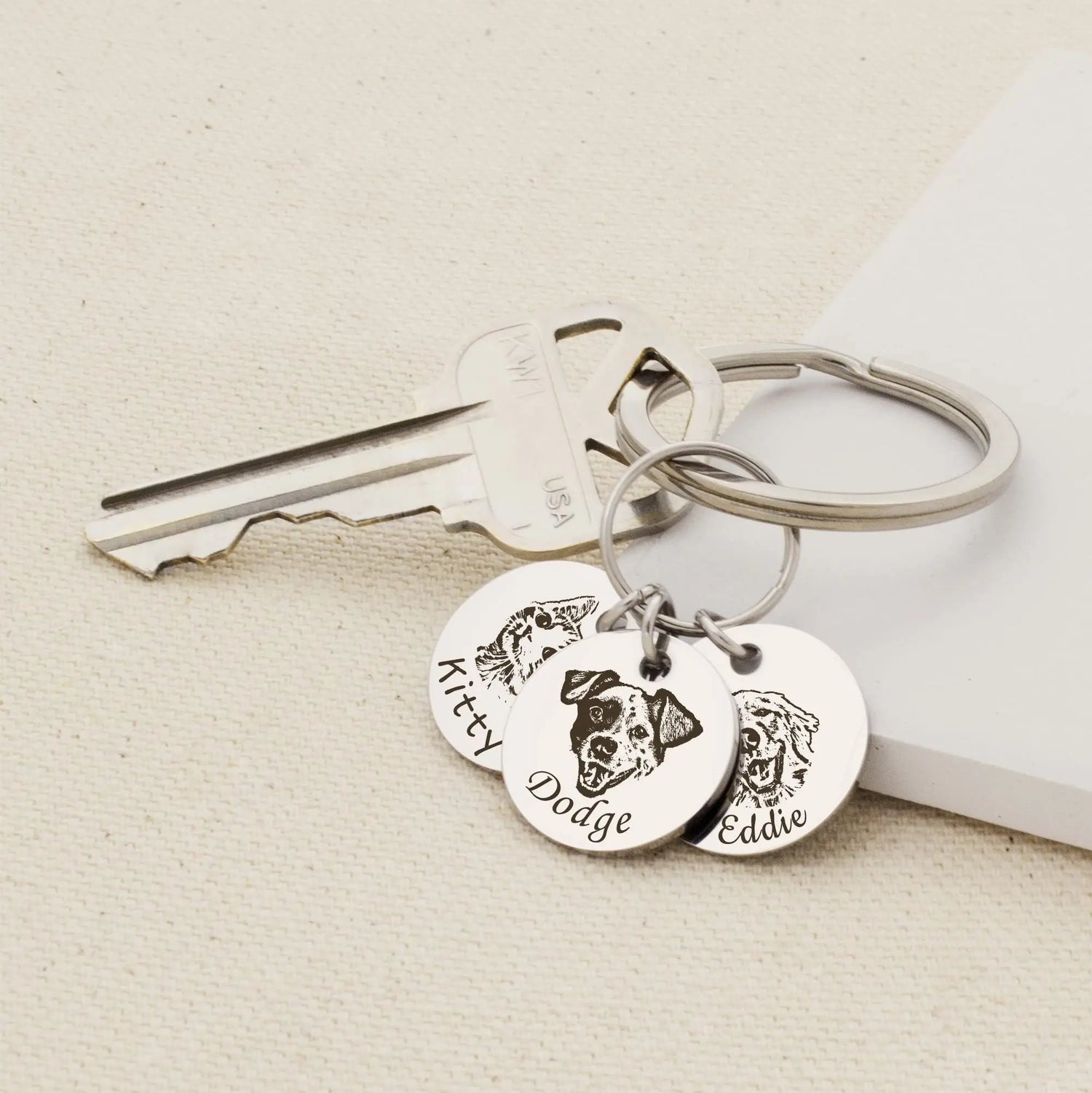 Anavia Personalized Pet Portrait Keychain, Customized Pet Photo Handmade Engraved Cat Dog Memorial Keepsake Sympathy Gifts (Silver - 1 Disc) Anavia