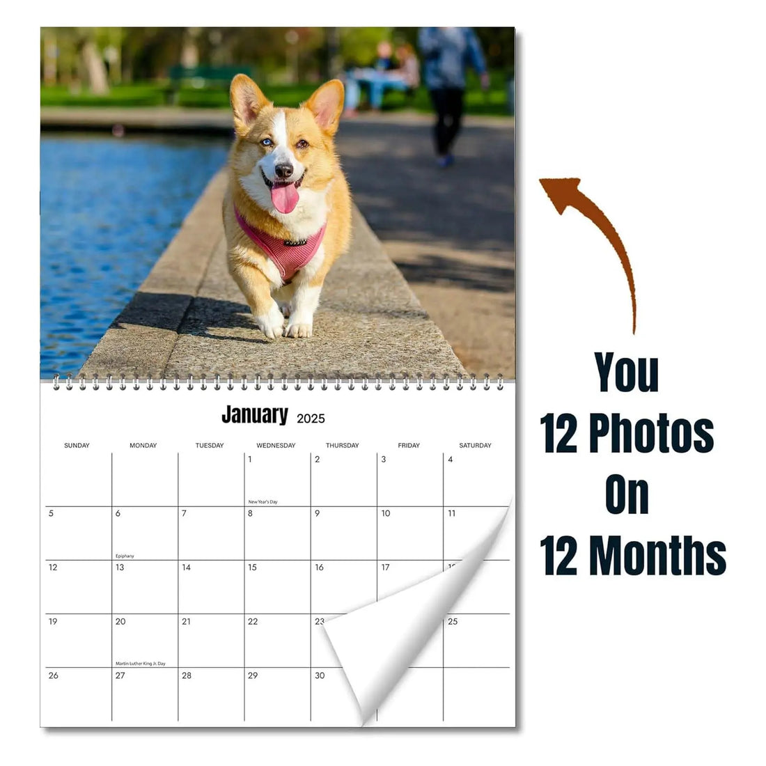 Custom Photo Wall Calendar 2025 for Home &amp; Office - Print Your 13 Memories Dog Calendar,Make Your Own Personalized Pet Calendar 2025 - Customized Christmas Gift 8.5&quot; x 11&quot; KENJIEY