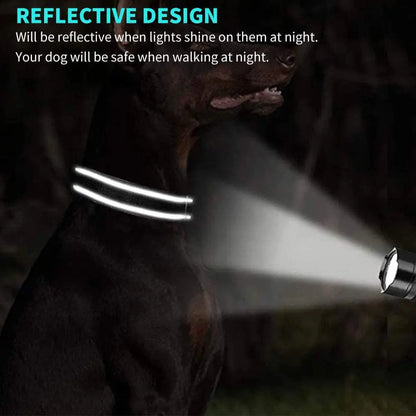 Custom Reflective Dog Collars with Embroidered Name and Phone Number for Small Medium Large Dogs DayDay Patch