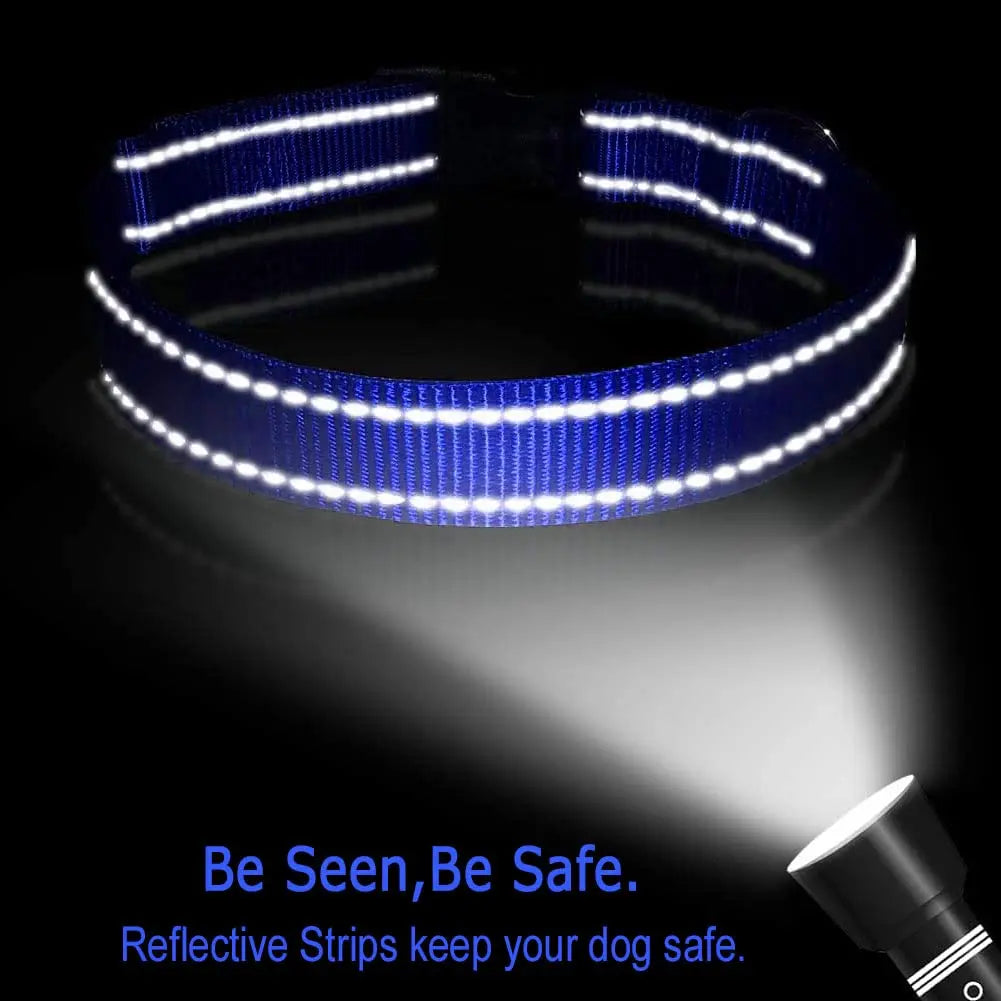 MOONPET Personalized Custom Dog Collar Leash Set for Dogs MOONPET