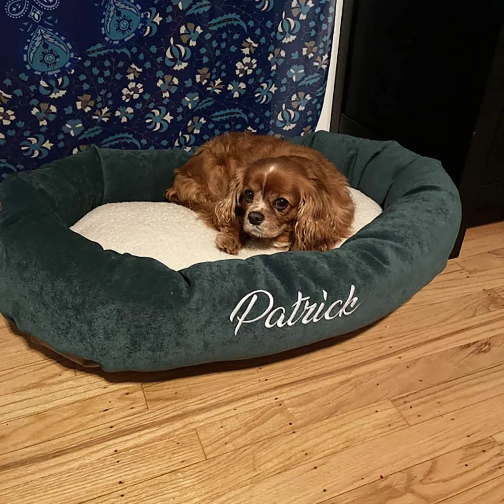Majestic Pet Personalized Bagel Dog Bed Small Blue Green Majestic Pet