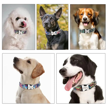 Moonpet Personalized Custom Customized Dog Collar with Engraved ID Tag Name Plate and Phone Number/Heavy Duty Adjustable Dog Collars for Puppy X-Small Small Medium Large X-Large Boy Girl Dogs MOONPET