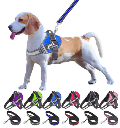 Moonpet Personalized No Pull Dog Harness Leash Set MOONPET