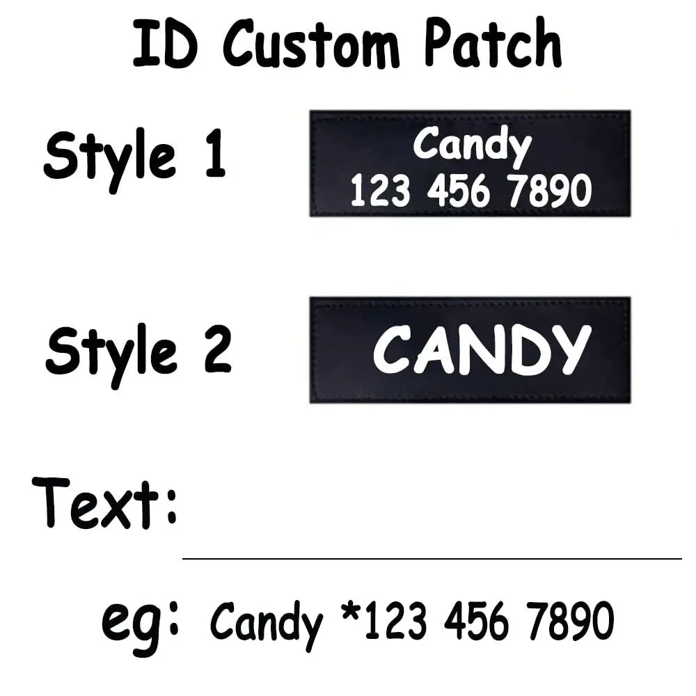 Moonpet Personalized No Pull Dog Harness Leash Set MOONPET
