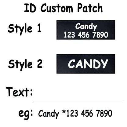 Moonpet Personalized No Pull Dog Harness Leash Set MOONPET