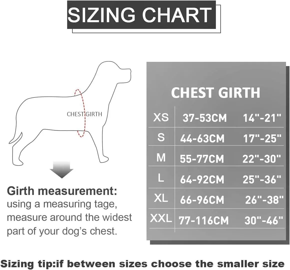Moonpet Personalized No Pull Dog Harness Leash Set MOONPET