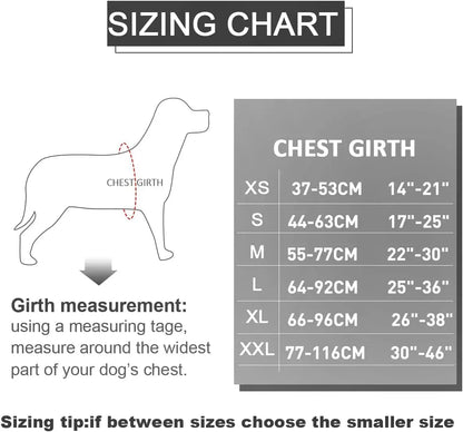 Moonpet Personalized No Pull Dog Harness Leash Set MOONPET