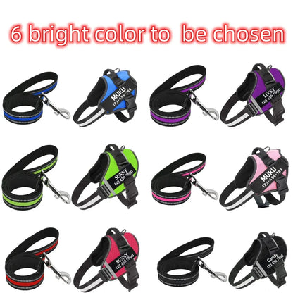 Moonpet Personalized No Pull Dog Harness Leash Set MOONPET