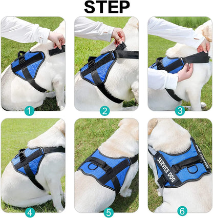Moonpet Personalized No Pull Dog Harness Leash Set MOONPET