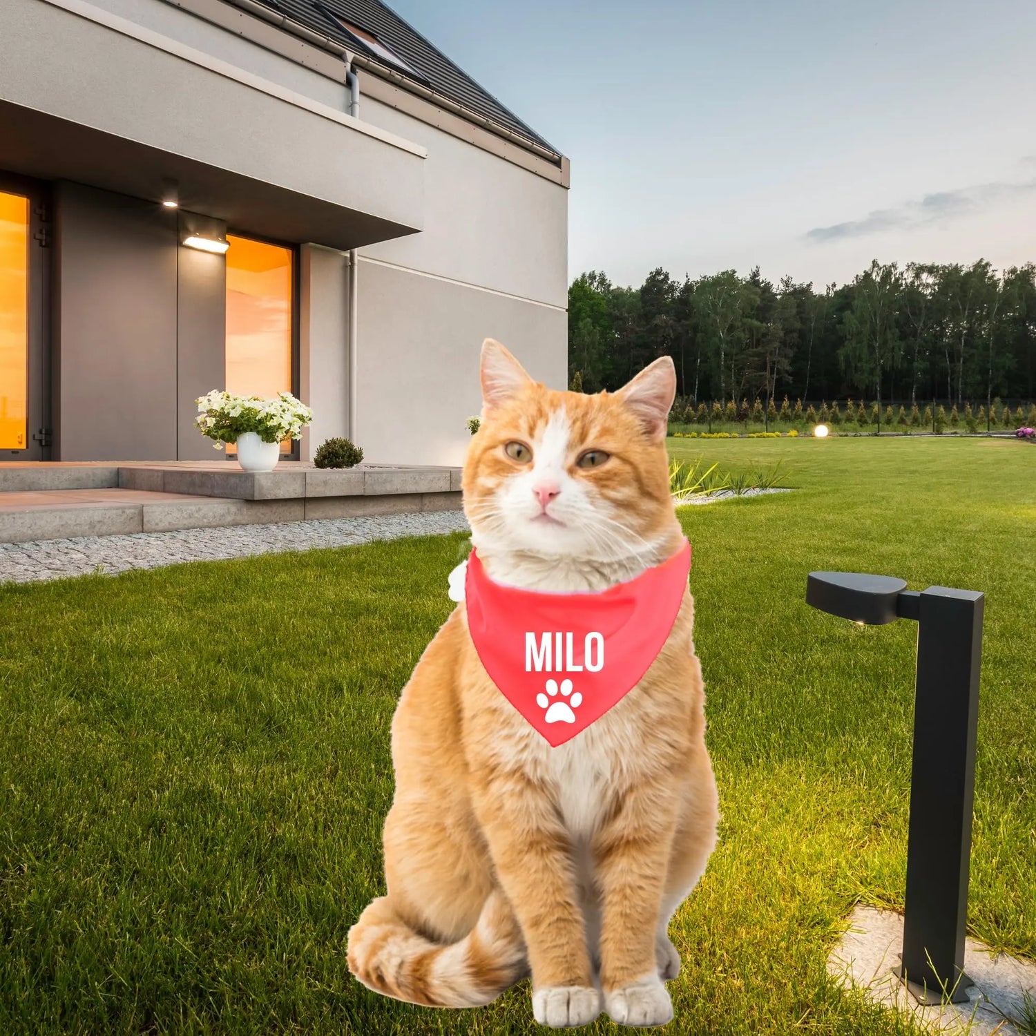 Personalized Cat Bandana Over The Collar Clothes For Cats ANITA&