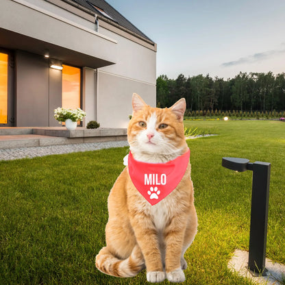Personalized Cat Bandana Over The Collar Clothes For Cats ANITA&