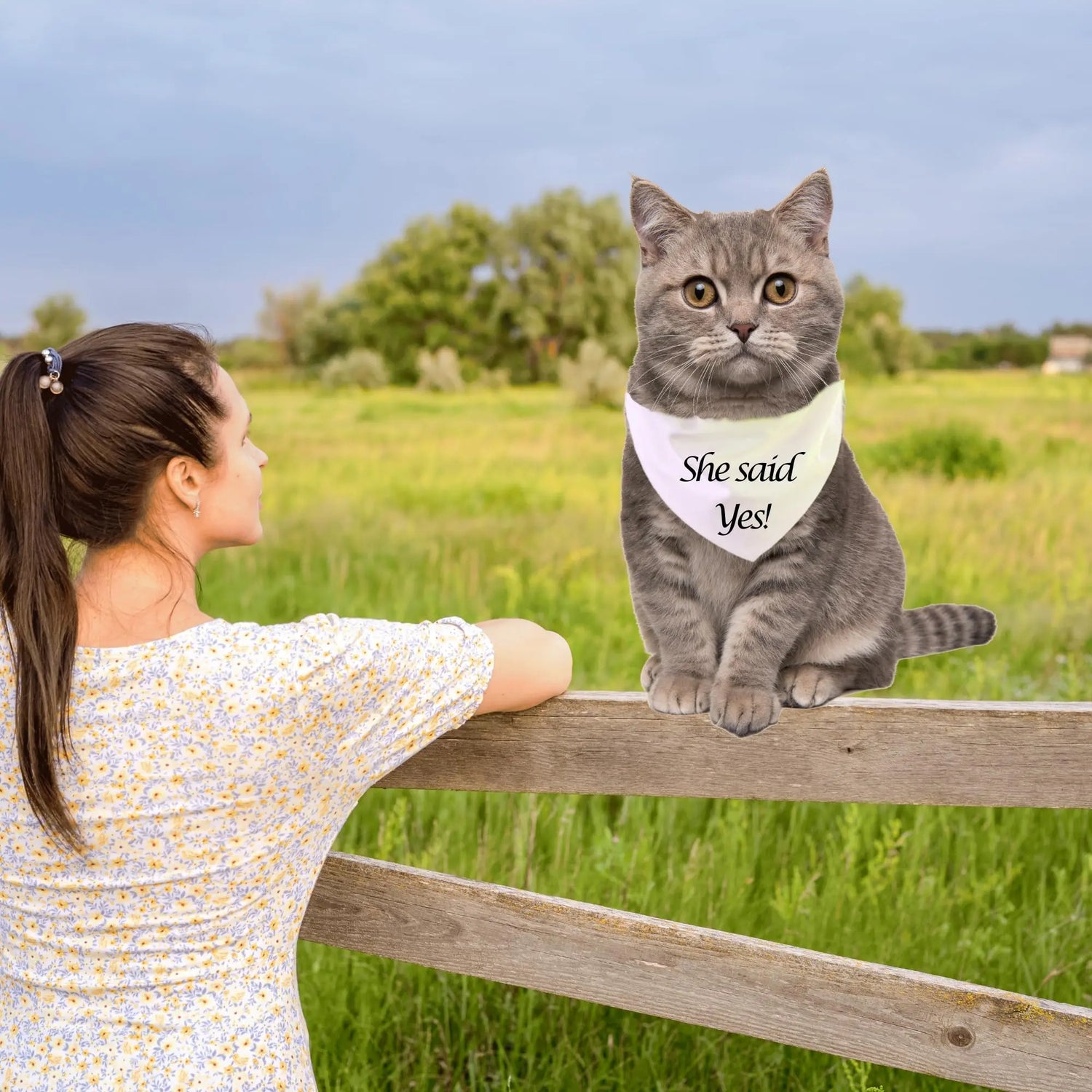Personalized Cat Bandana Over The Collar Clothes For Cats ANITA&