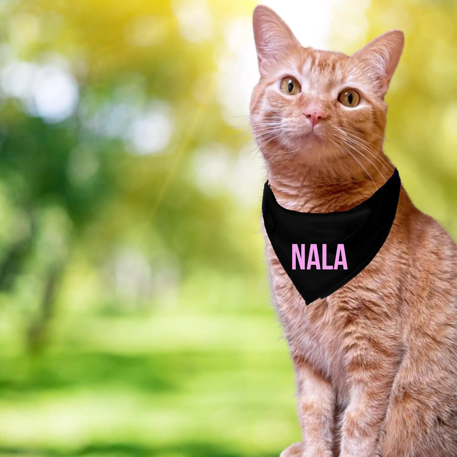 Personalized Cat Bandana Over The Collar Clothes For Cats ANITA&