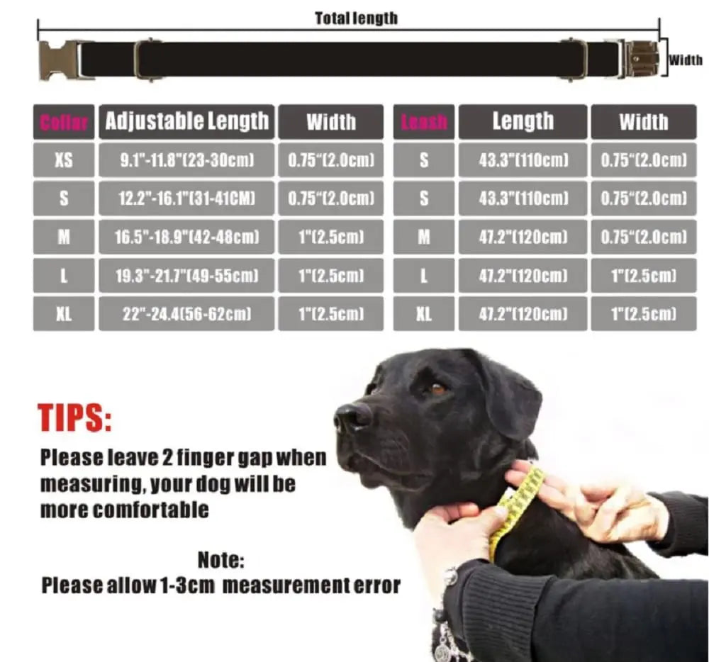 Personalized Cow Pattern Pet Collar Custom Puppy ID Tag Adjustable Cat Accessory Black White Basic Dog Collars Leash Set (Medium, Collar) Generic