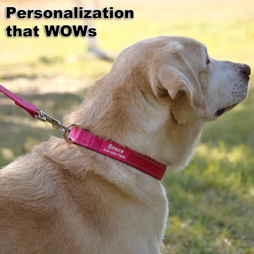 Personalized Dog Collars Custom with Pet Name and Phone Number, Soft Neoprene Padded Reflective Nylon Collar, 4 Adjustable Sizes - for Boy, Girl Dogs PLUTUS PET