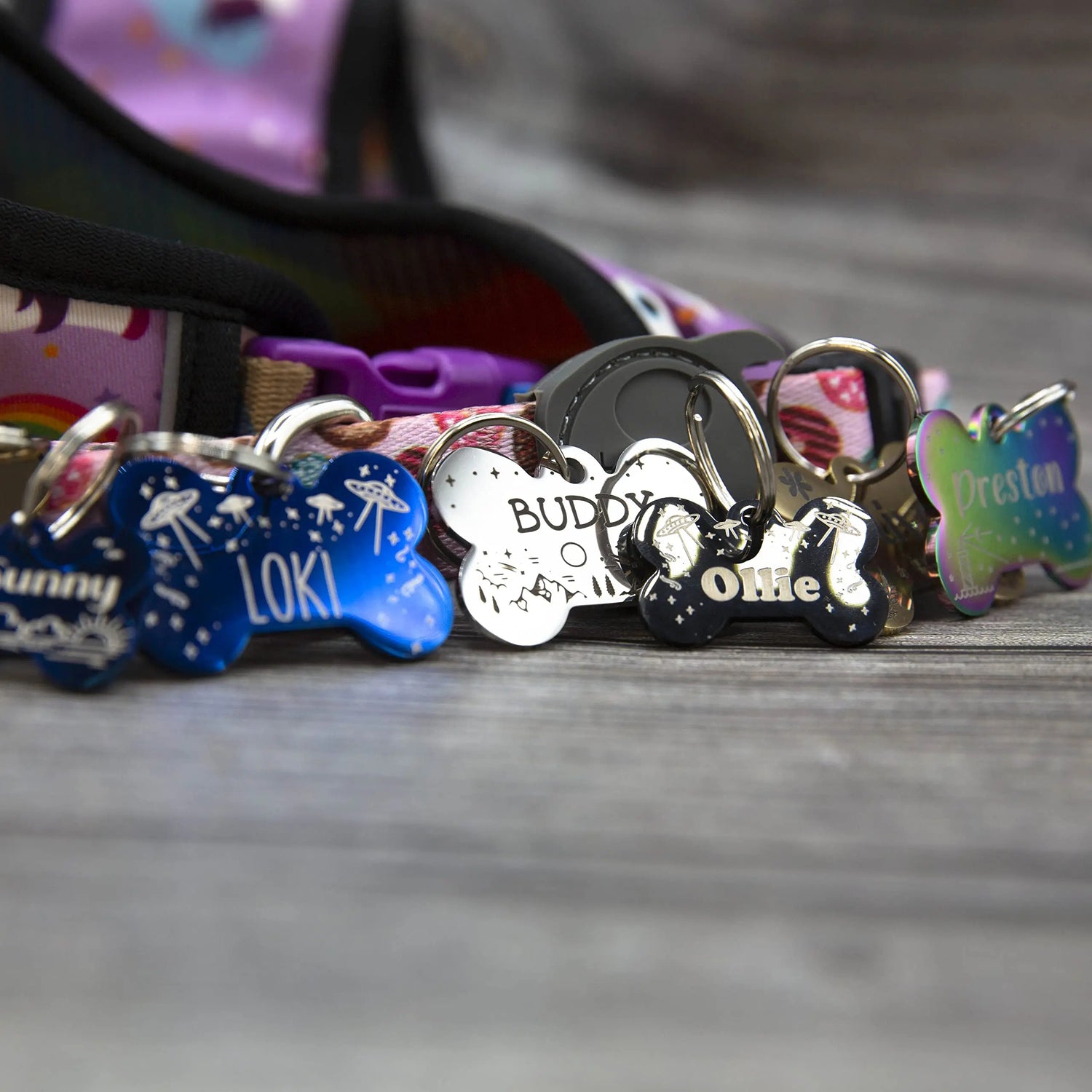 Personalized Dog Tag with 5 Lines of Custom Deep Engraved Durable Stainless Steel Pet ID Name Tag Designer Regular Size Bone PetANTastic