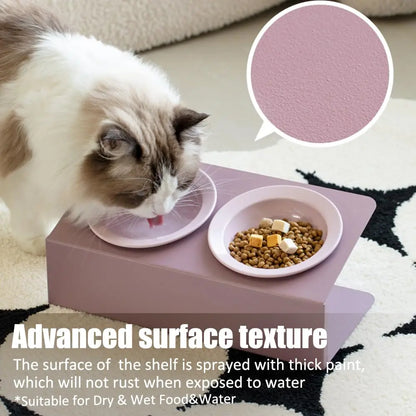 Personalized Elevated Cat Bowls 15° Tilted Raised Pet Dishes for Food and Water,Metal Body Stand Feeder with Laser Customization, 2 Ceramic Dish for Cats, Small Dogs AnNengJing