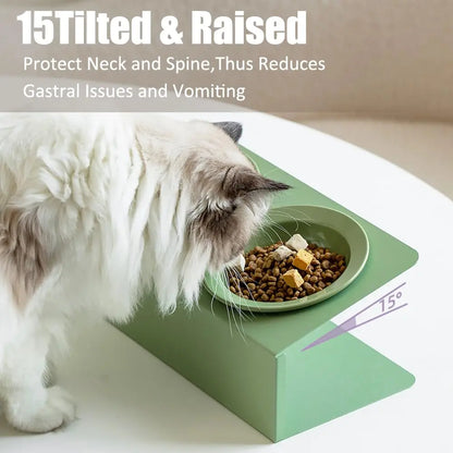 Personalized Elevated Cat Bowls 15° Tilted Raised Pet Dishes for Food and Water,Metal Body Stand Feeder with Laser Customization, 2 Ceramic Dish for Cats, Small Dogs AnNengJing