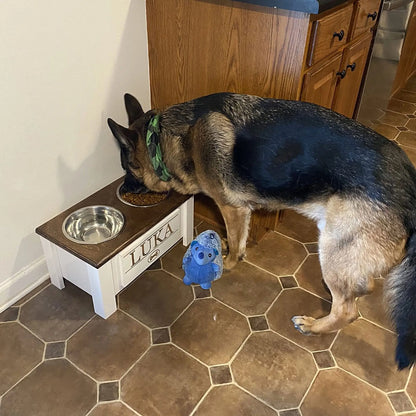 Personalized Elevated Dog Feeding Station with Stainless Steel Bowls - Stylish Storage Solution for Dogs of All Sizes in Dark Walnut GrooveThis Woodshop