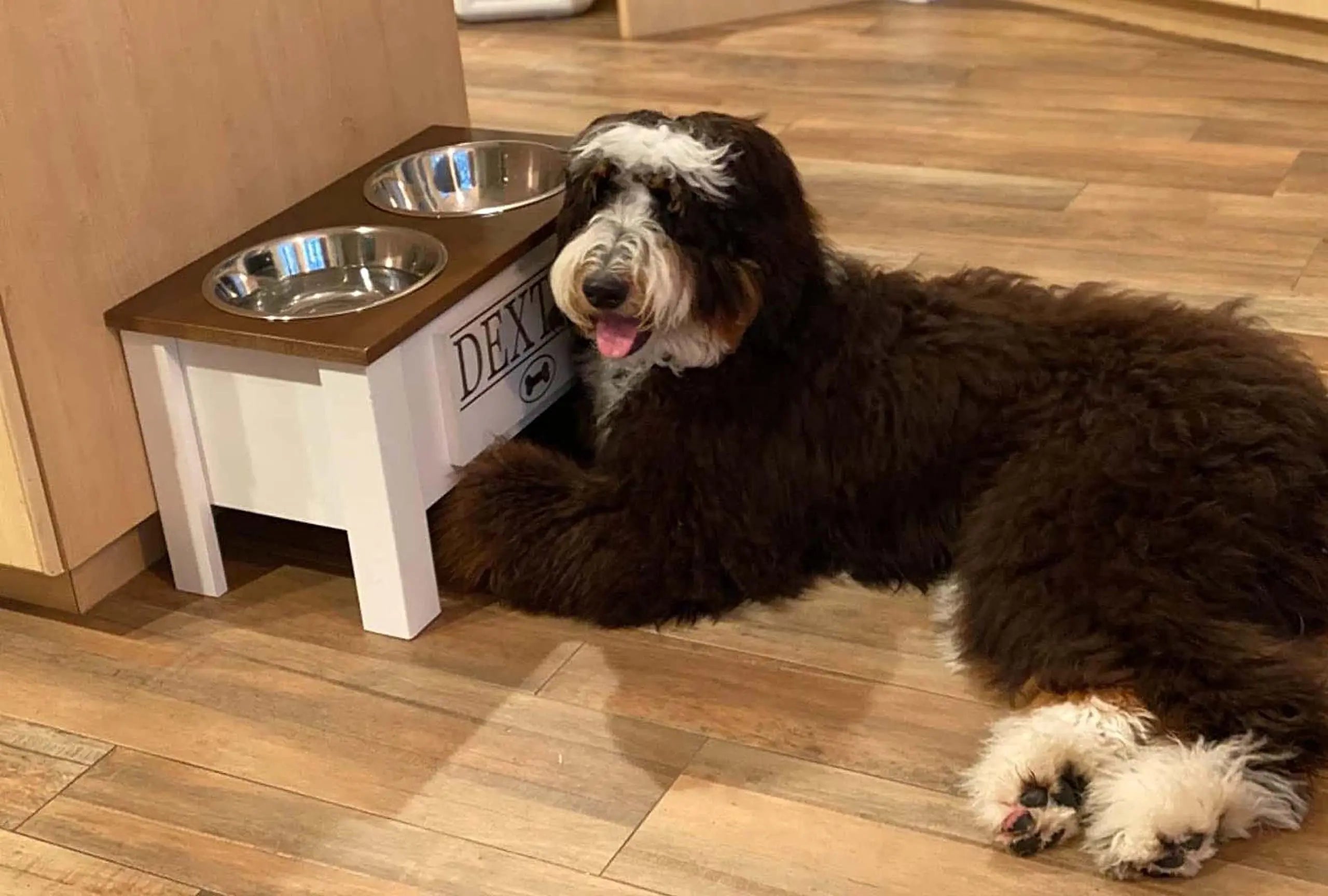 Personalized Elevated Dog Feeding Station with Stainless Steel Bowls - Stylish Storage Solution for Dogs of All Sizes in Dark Walnut GrooveThis Woodshop