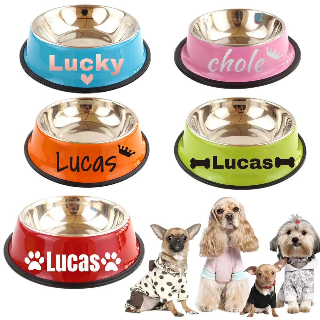 Personalized Name for Cat Dog Stainless Steel Colored Pet Puppy Cat Bowl Non-Slip Durable Pet Bowl Feeder Feeding Dog Water Bowl 通用