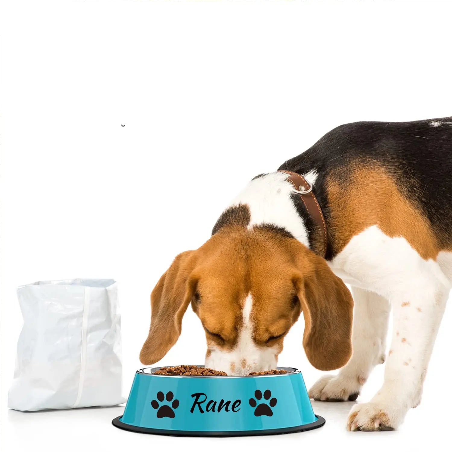 Personalized Name for Cat Dog Stainless Steel Colored Pet Puppy Cat Bowl Non-Slip Durable Pet Bowl Feeder Feeding Dog Water Bowl 通用