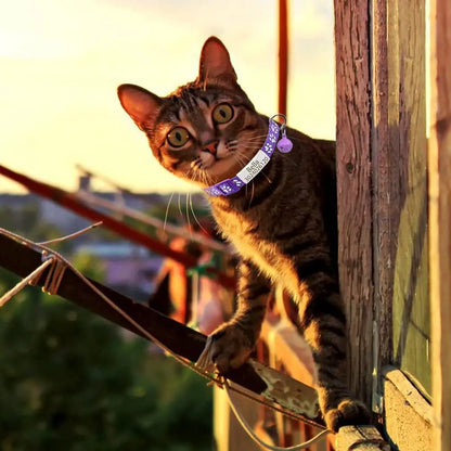 Senristar Personalized 2 Pack Reflective Cat Collar,Custom Breakaway Cat Collars with Name Tag and Bell,Anti-Lost Nameplate Cat Collar for Girls &amp; Boys (Purple,fit 8&